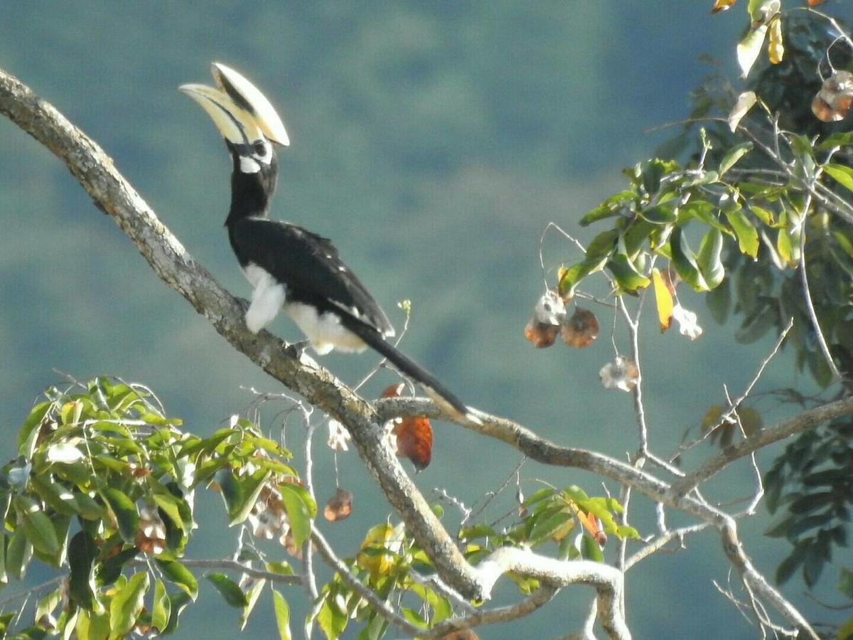 Baanraisooksangchan Kaeng Krachan Exteriér fotografie